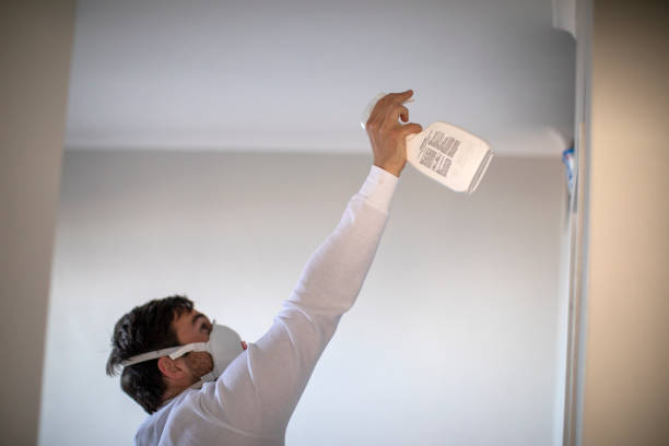 Best Commercial Mold Removal  in Royal Hawaiian Estates, HI